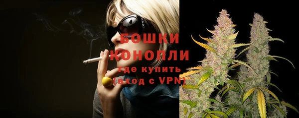 стафф Богданович